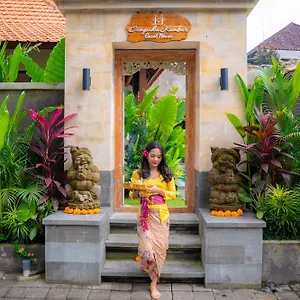  Guest house Cempaka Kembar Indonesia